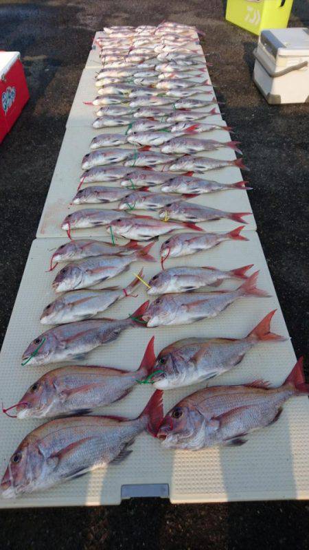 オーフリー 釣果