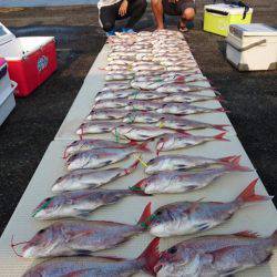 オーフリー 釣果