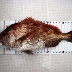 フルコンタクト 釣果