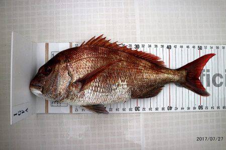 フルコンタクト 釣果