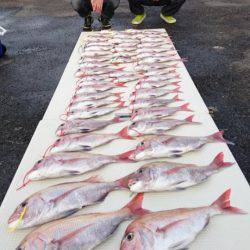 オーフリー 釣果