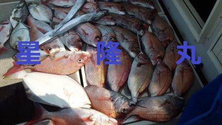 星隆丸 釣果