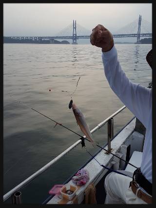 内浜丸 釣果
