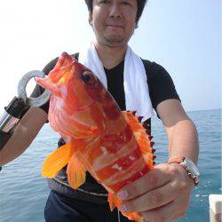 マタウマリンサービス 釣果