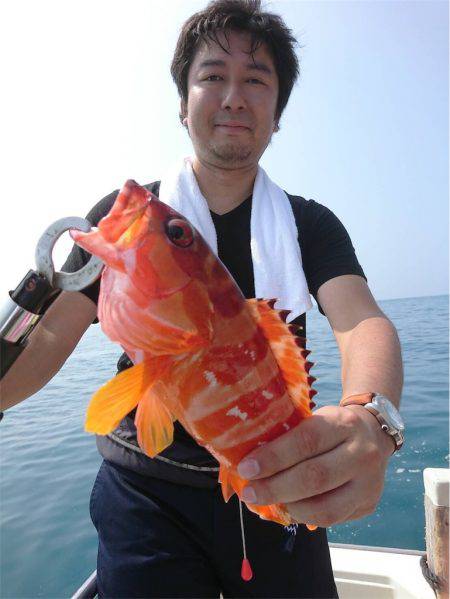 マタウマリンサービス 釣果