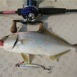 マタウマリンサービス 釣果