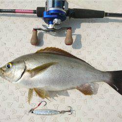 マタウマリンサービス 釣果