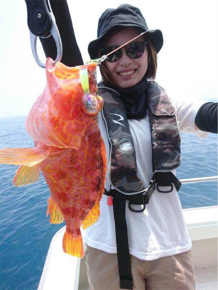 マタウマリンサービス 釣果