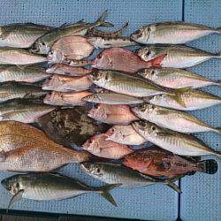 第二常豊丸 釣果