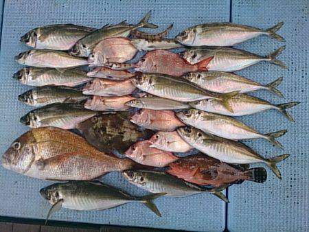 第二常豊丸 釣果