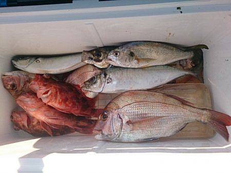 第二常豊丸 釣果