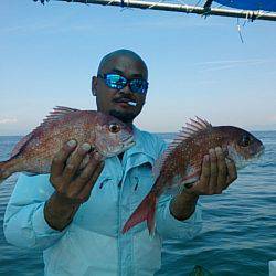 第二常豊丸 釣果