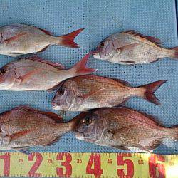 第二常豊丸 釣果