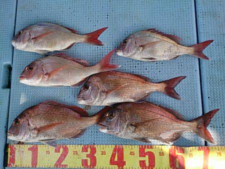 第二常豊丸 釣果