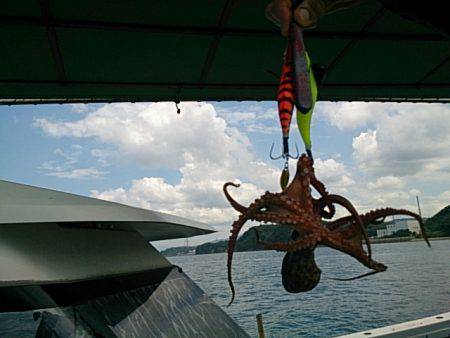 第二常豊丸 釣果