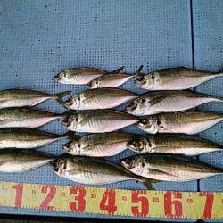 第二常豊丸 釣果