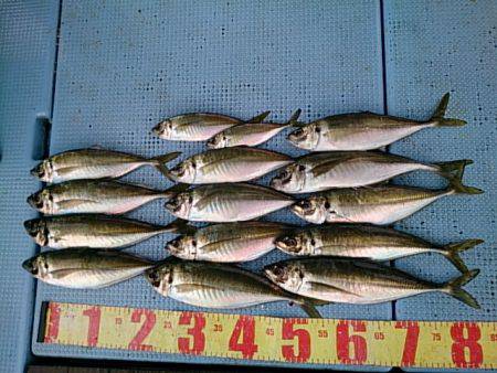 第二常豊丸 釣果