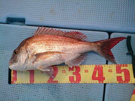 第二常豊丸 釣果