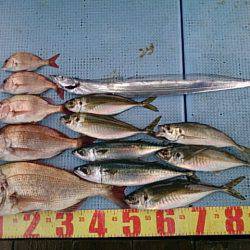 第二常豊丸 釣果