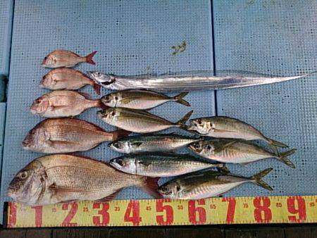 第二常豊丸 釣果