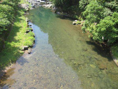 狩野川(狩野川漁業協同組合) 釣果