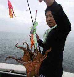 かもめ釣船 釣果