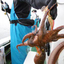 かもめ釣船 釣果