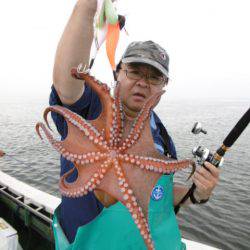 かもめ釣船 釣果