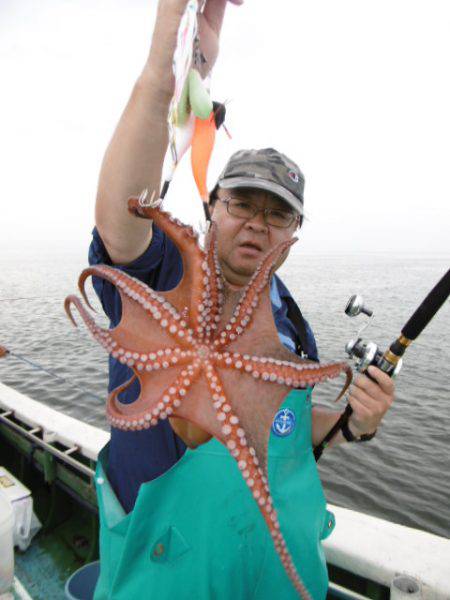 かもめ釣船 釣果