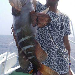 遊漁船 新鋭丸 釣果