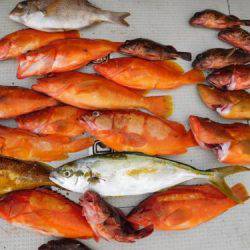 第二一之紀丸（ダイニイチノキマル） 釣果