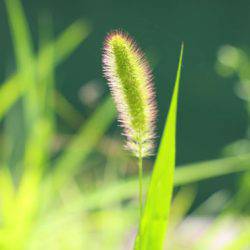 小菅トラウトガーデン 釣果