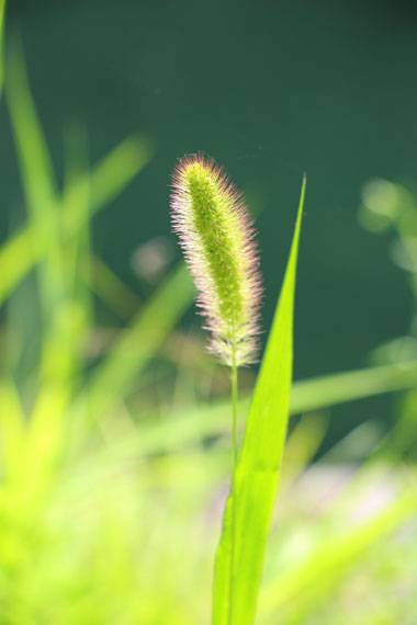 小菅トラウトガーデン 釣果