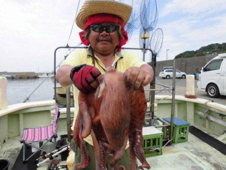 大進丸(新潟) 釣果