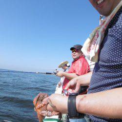 かもめ釣船 釣果