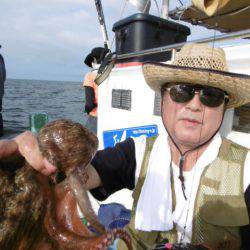 かもめ釣船 釣果