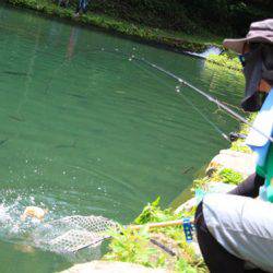 小菅トラウトガーデン 釣果