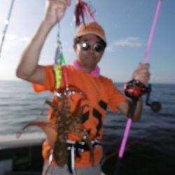 かもめ釣船 釣果