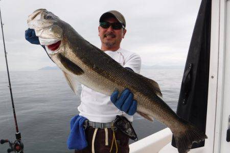 BlueNote Fishing Taxi 釣果