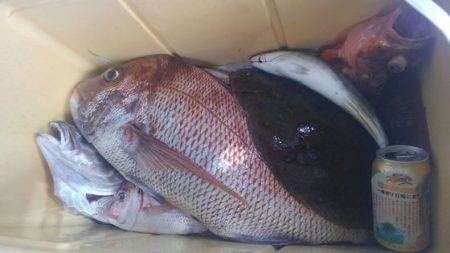 遊漁船 新鋭丸 釣果