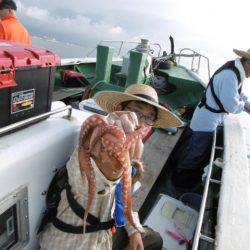 かもめ釣船 釣果