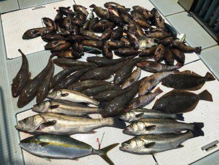 ふじしめ丸 釣果