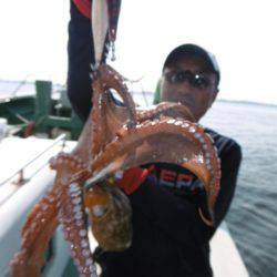 かもめ釣船 釣果