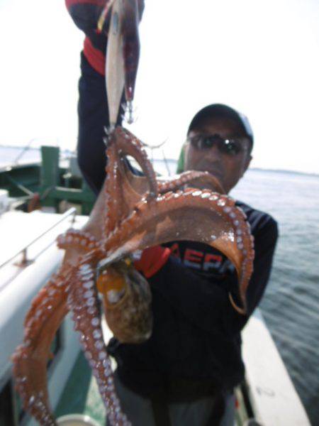 かもめ釣船 釣果