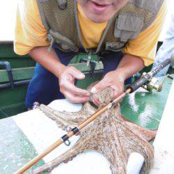かもめ釣船 釣果