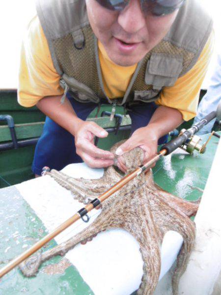 かもめ釣船 釣果