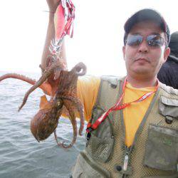 かもめ釣船 釣果