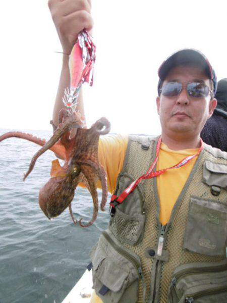 かもめ釣船 釣果