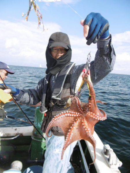 かもめ釣船 釣果