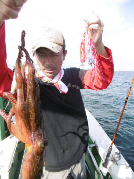 かもめ釣船 釣果